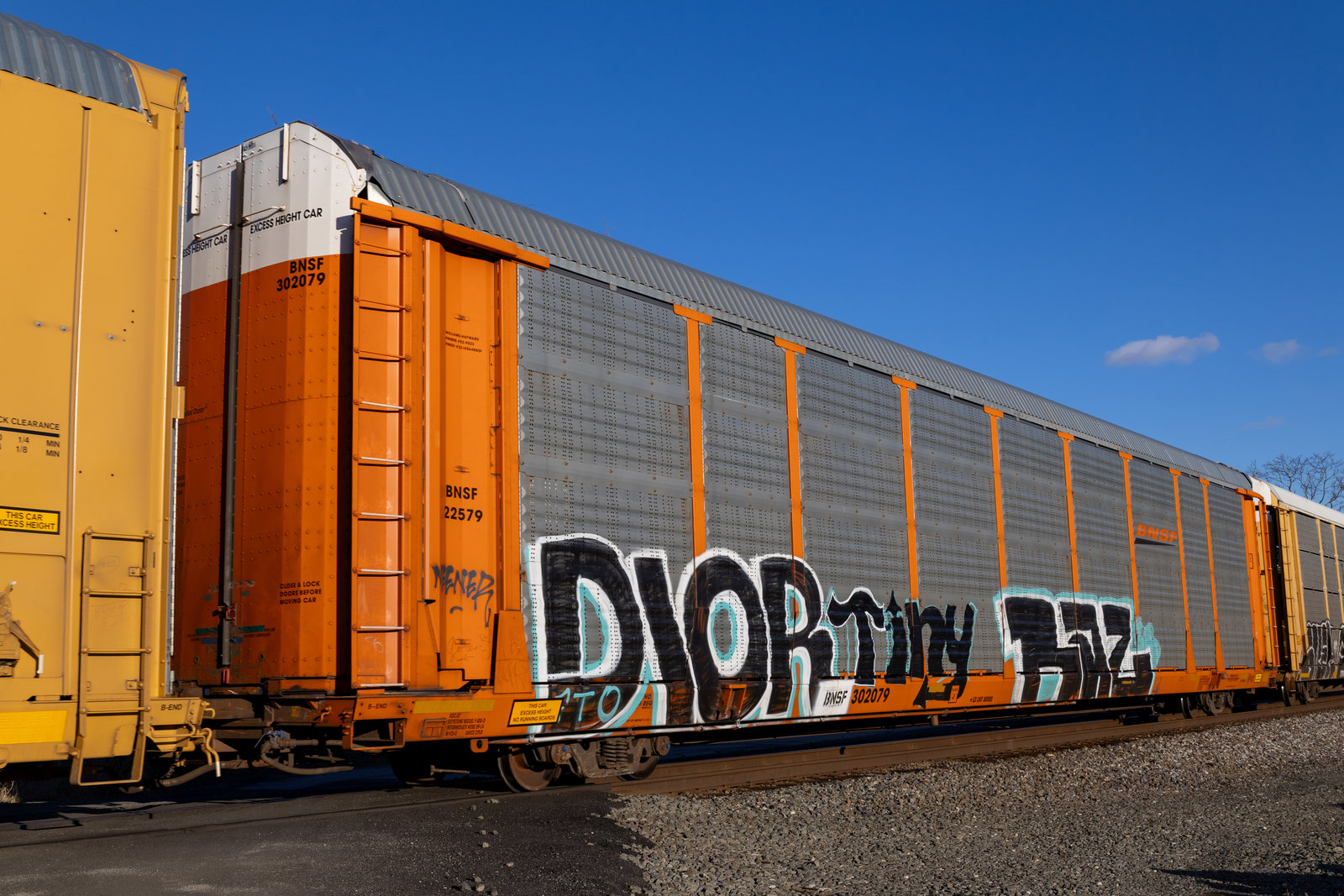 BNSF 302079