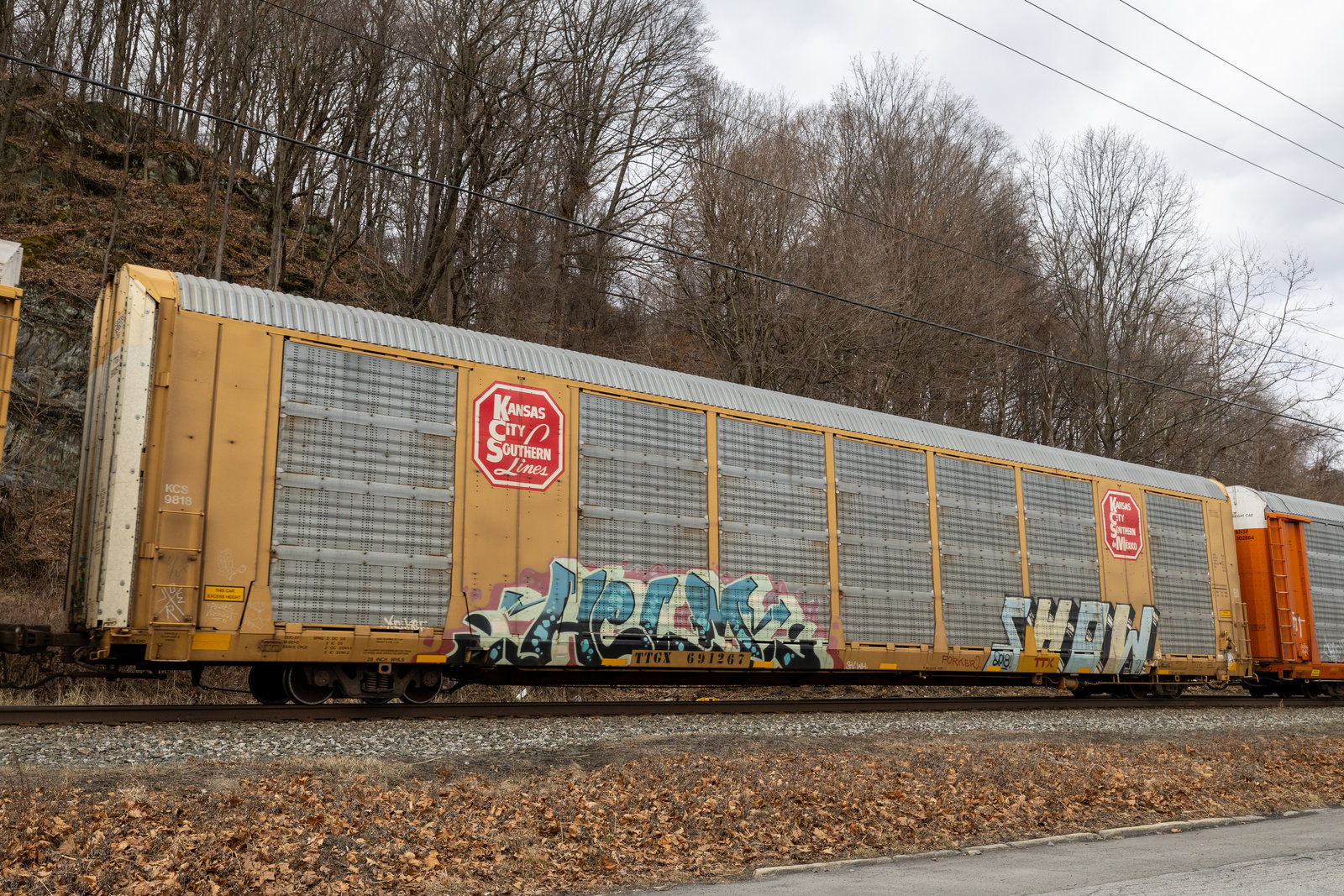 TTGX 691267