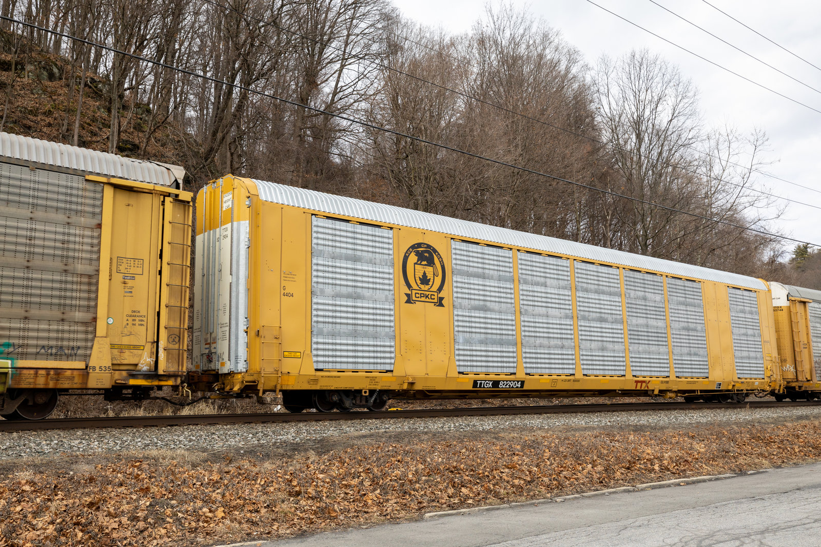 TTGX 822904