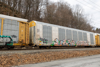 TTGX 698267