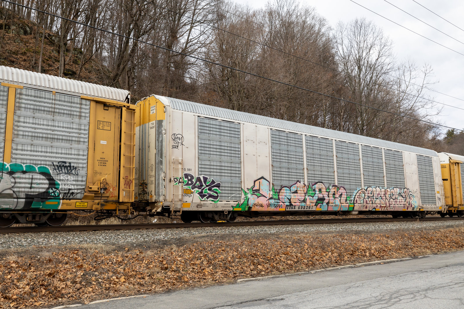 TTGX 698267
