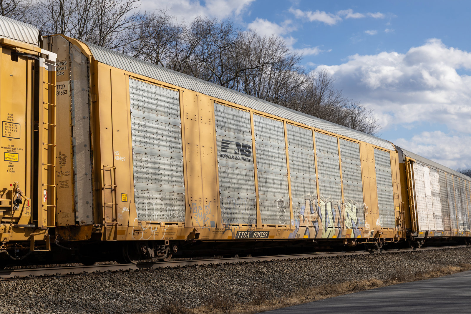 TTGX 691553