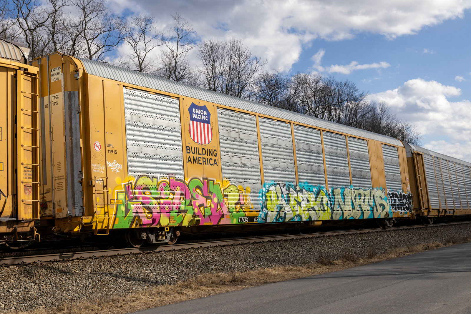 TTGX 821915