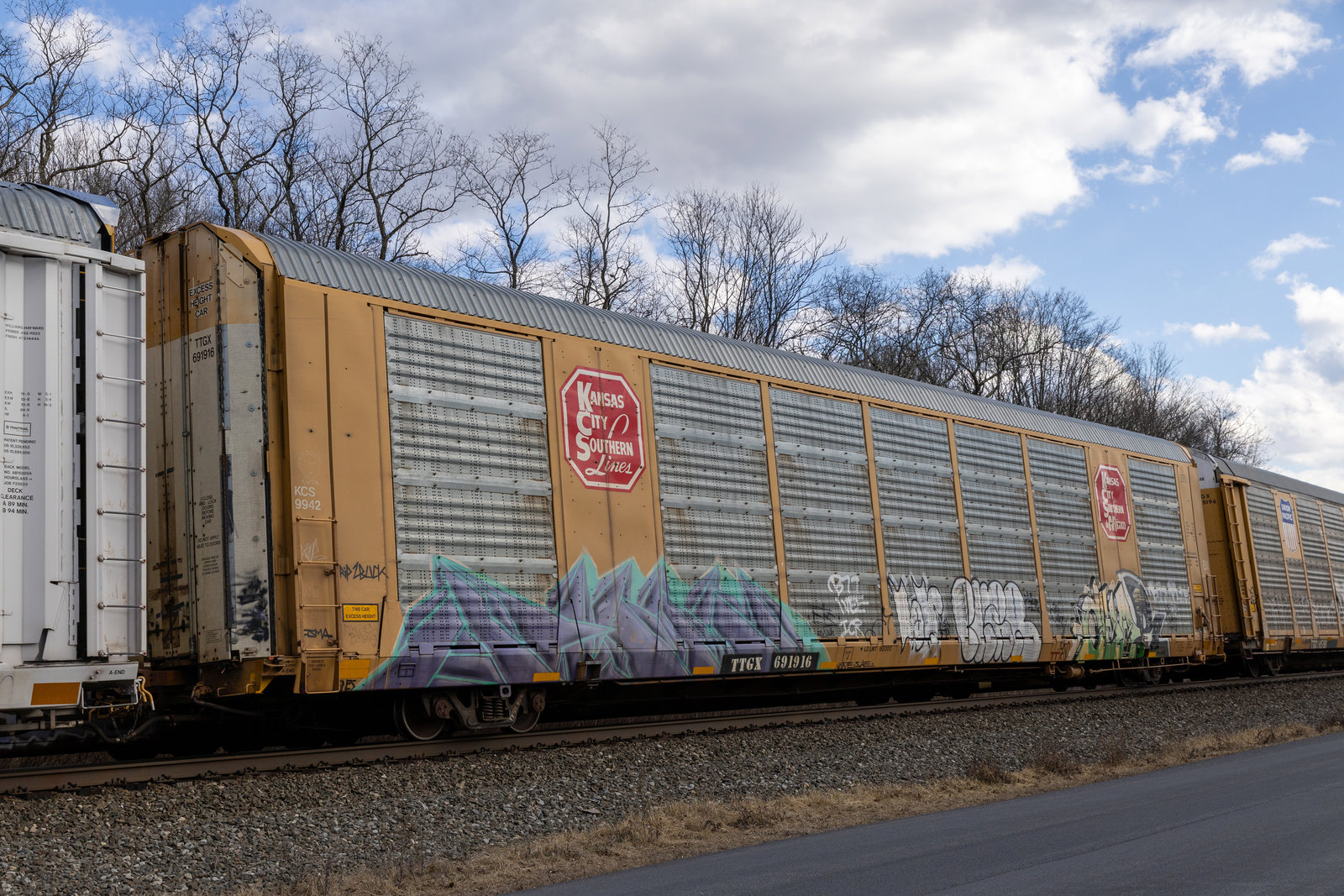 TTGX 691916