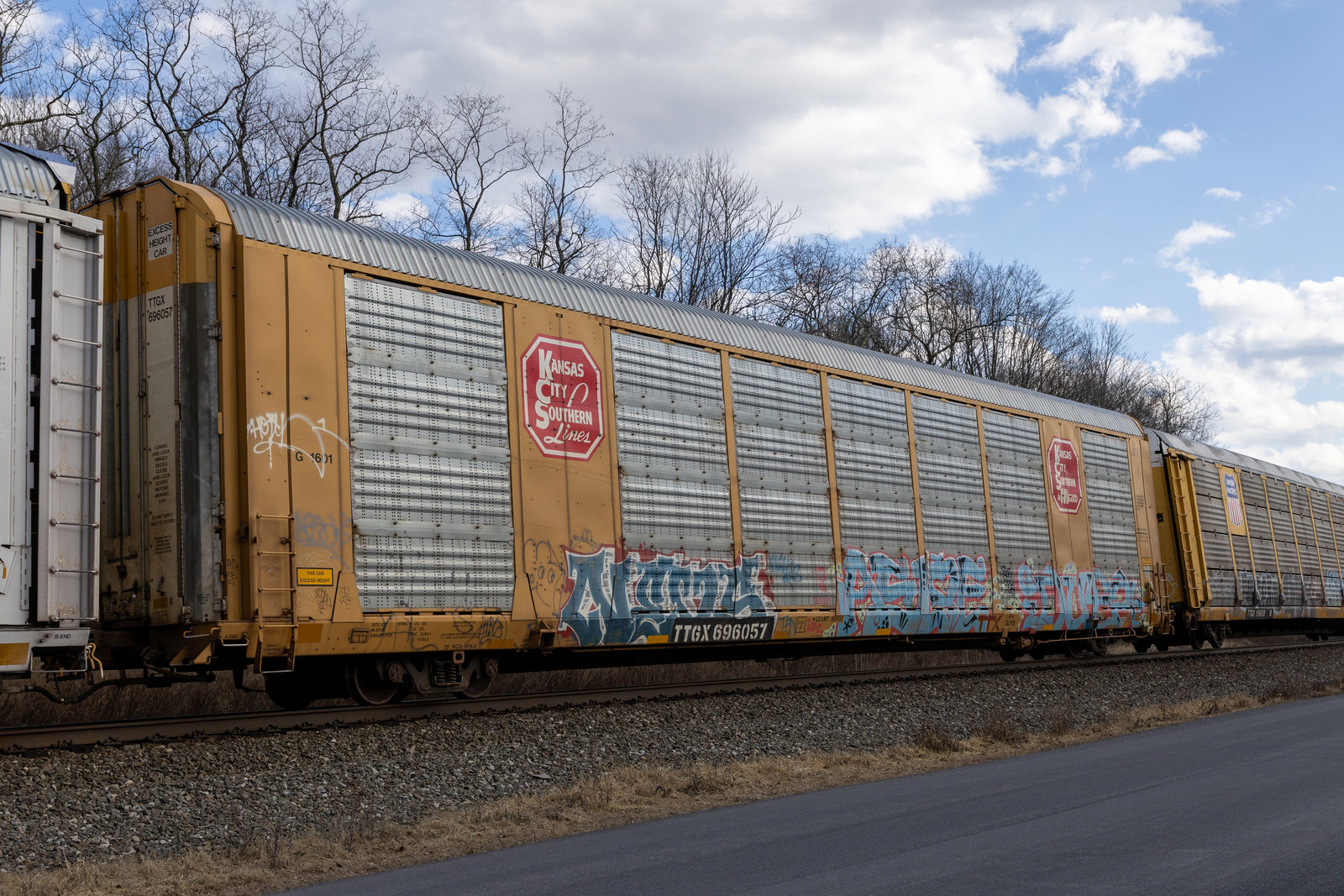 TTGX 696057