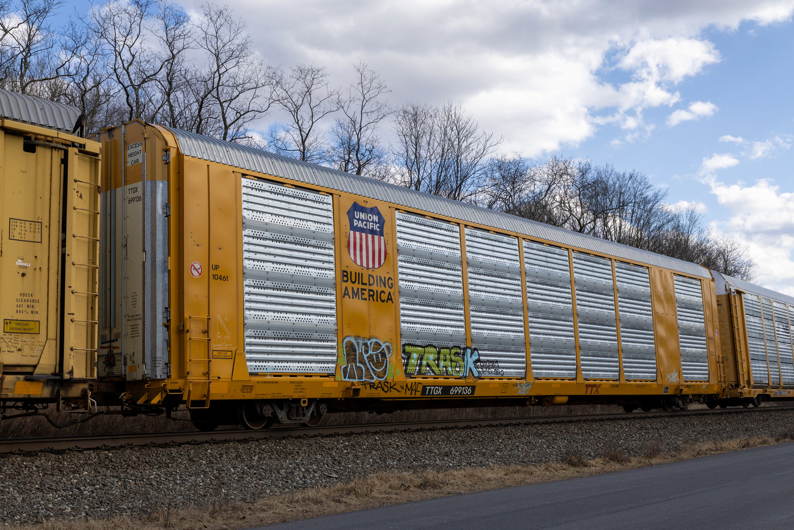 TTGX 699136