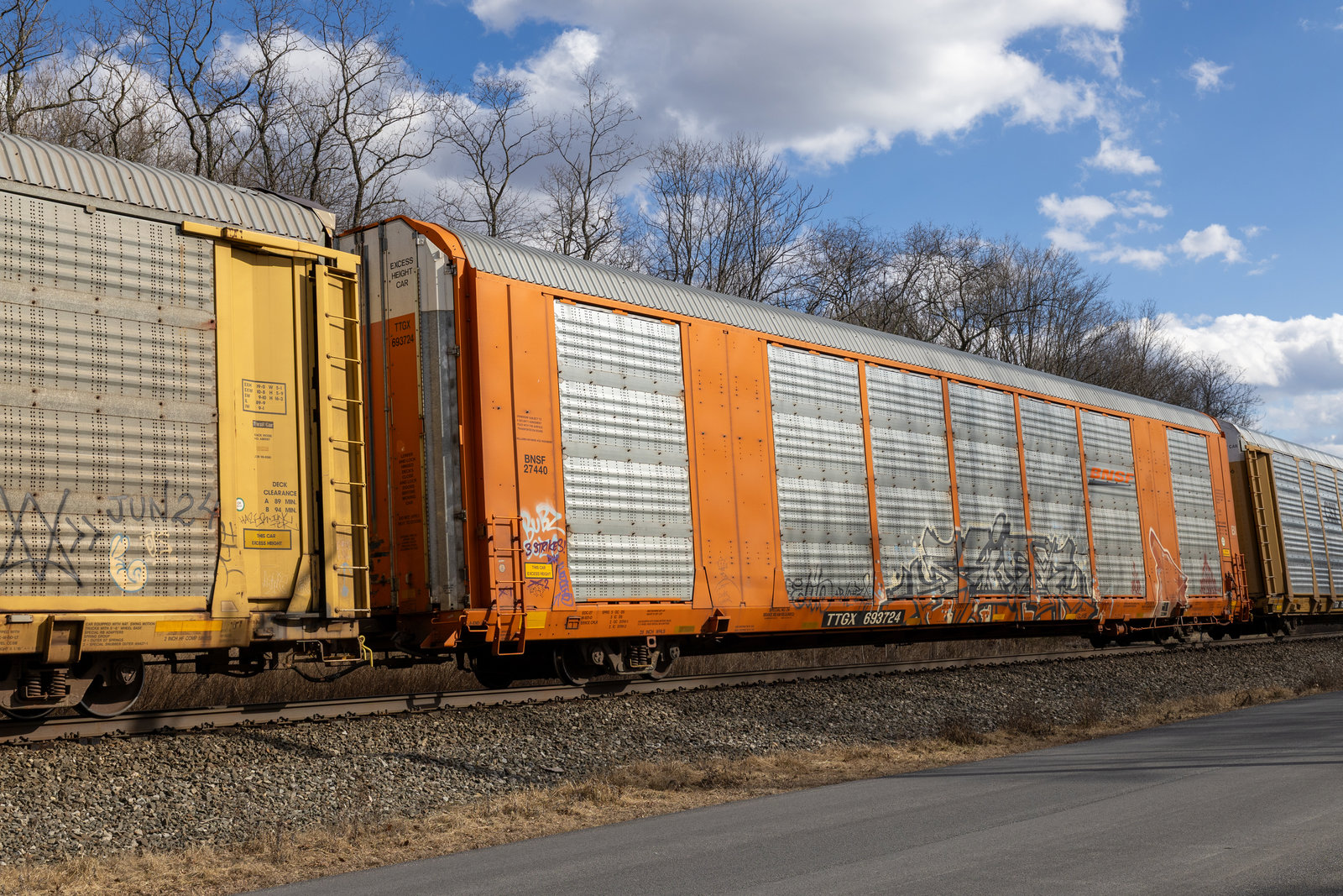 TTGX 693724