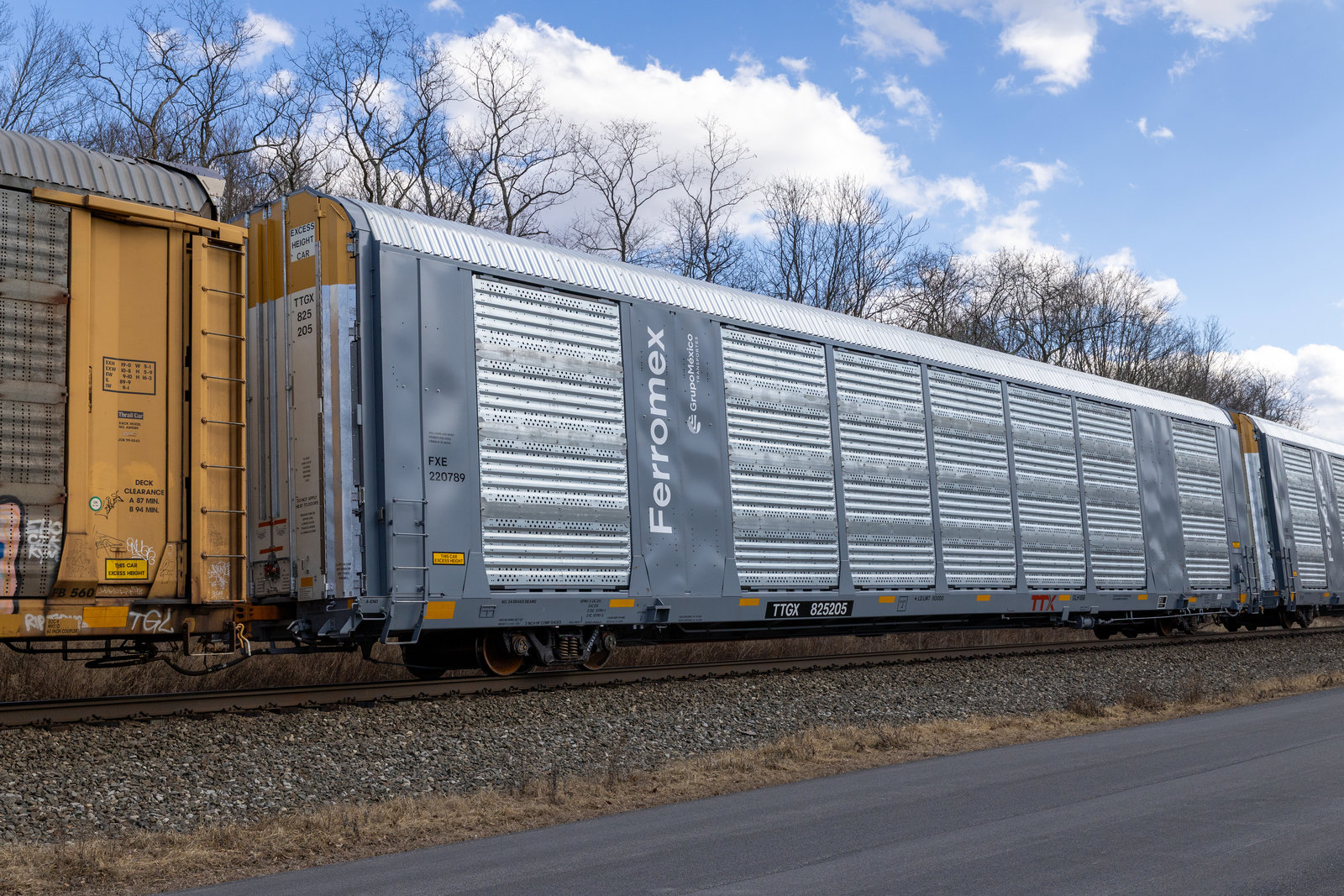 TTGX 825205