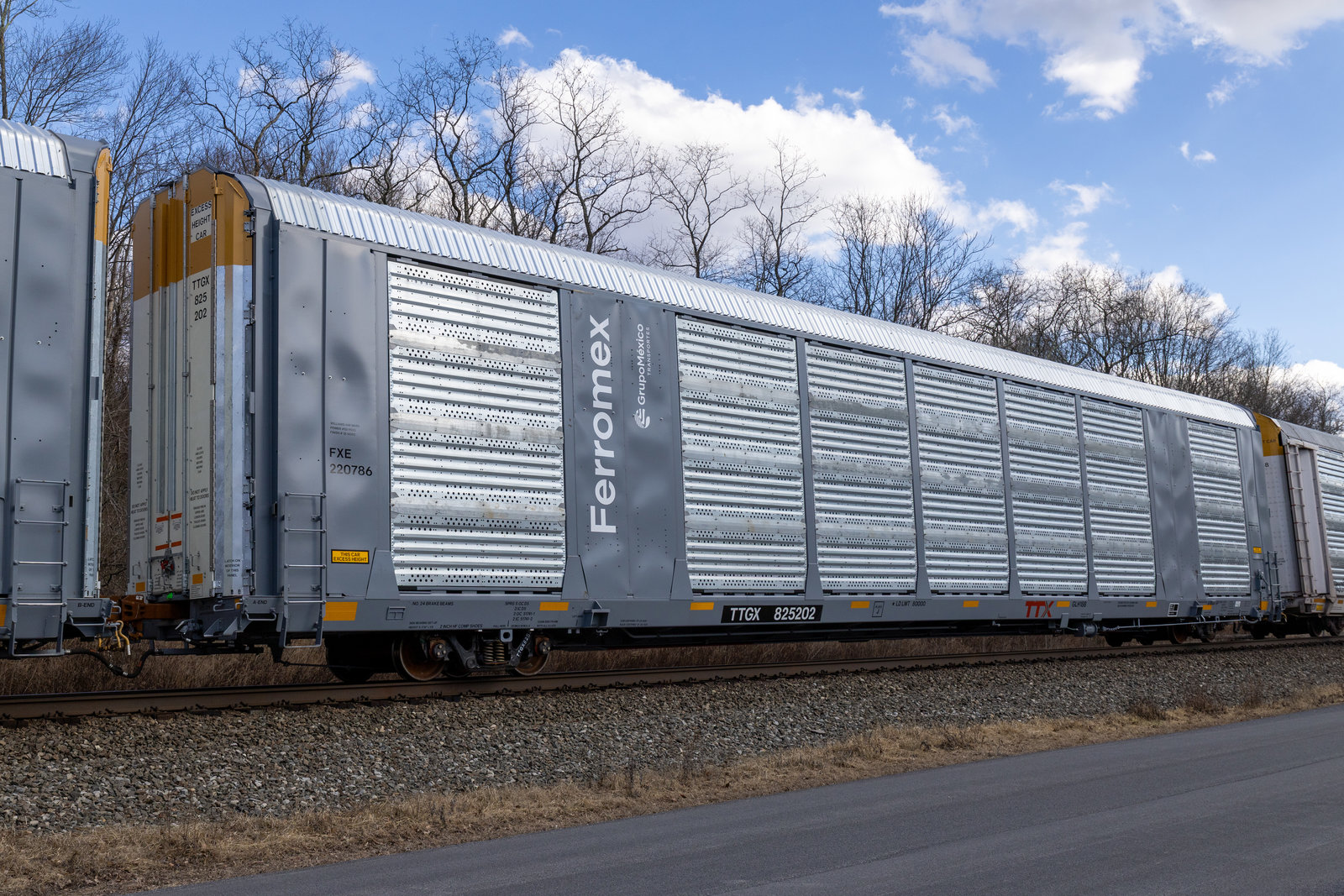 TTGX 825202