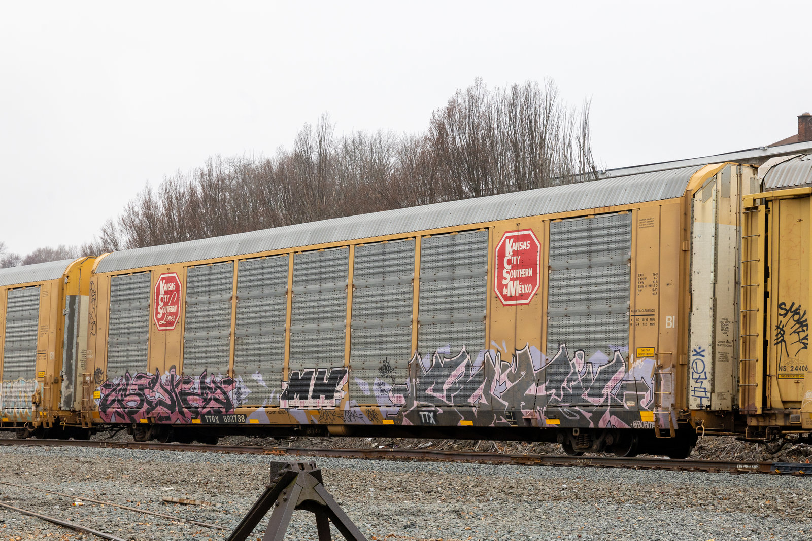 TTGX 692738
