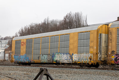 TTGX 695841