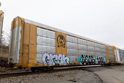 TTGX 822338