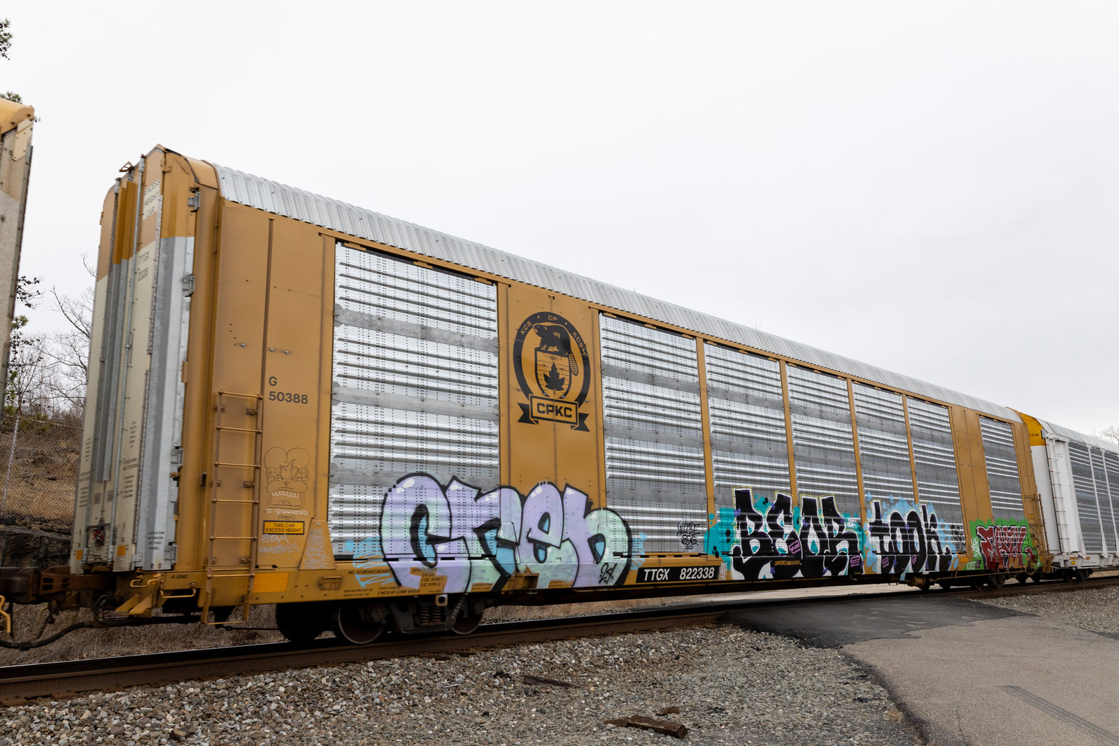 TTGX 822338
