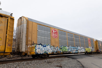 TTGX 691117