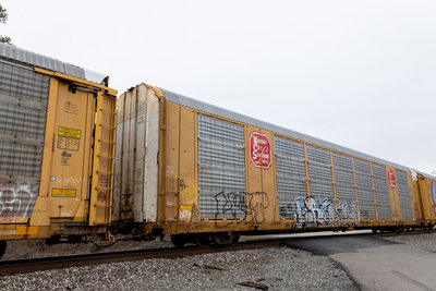 TTGX 691172