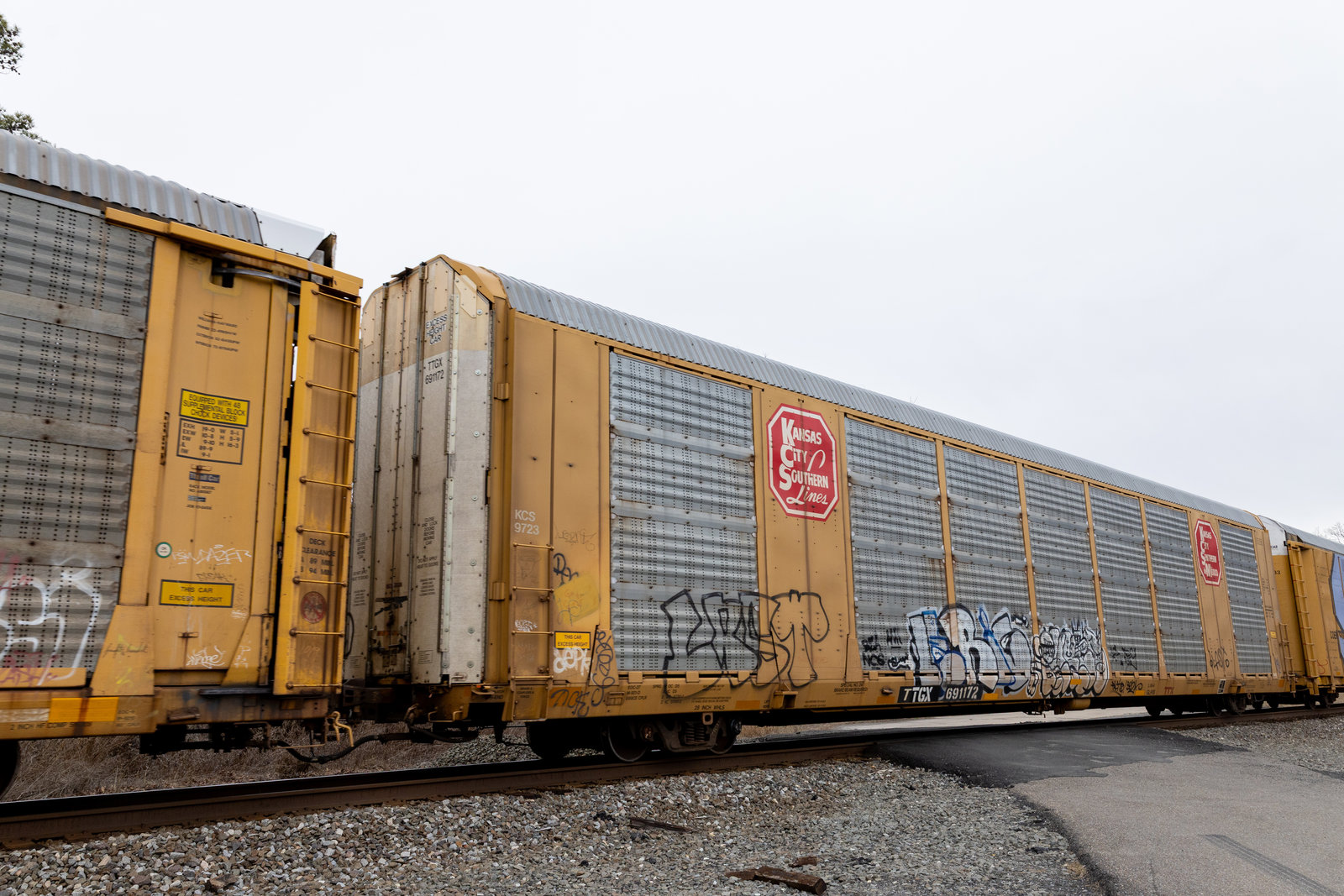 TTGX 691172