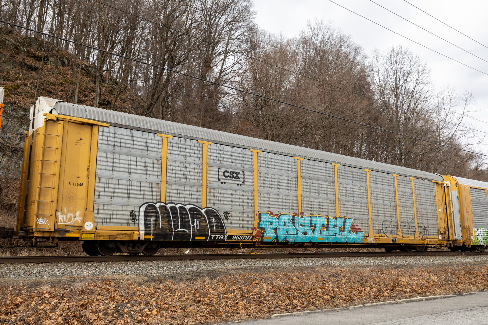 TTGX 953793