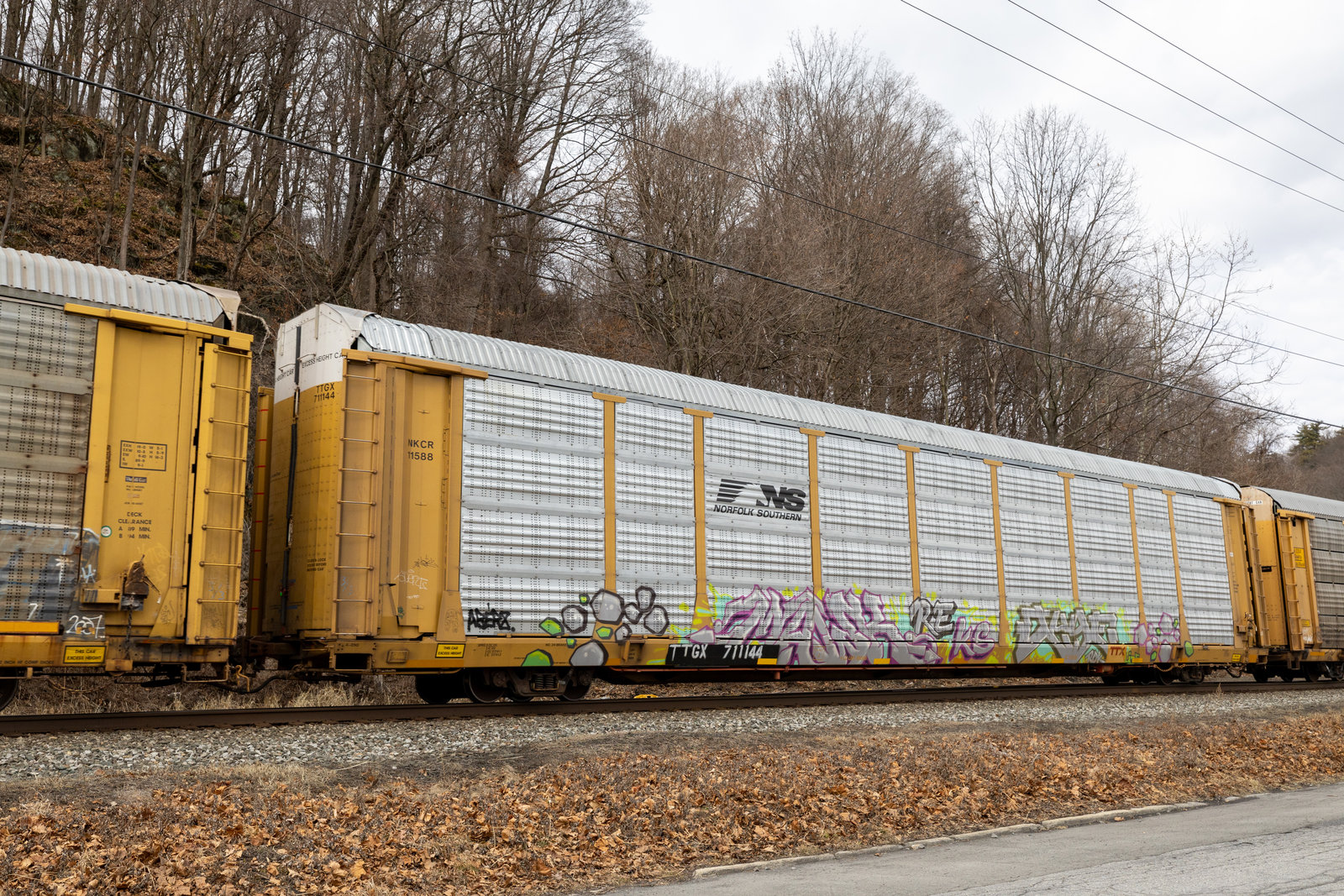 TTGX 711144