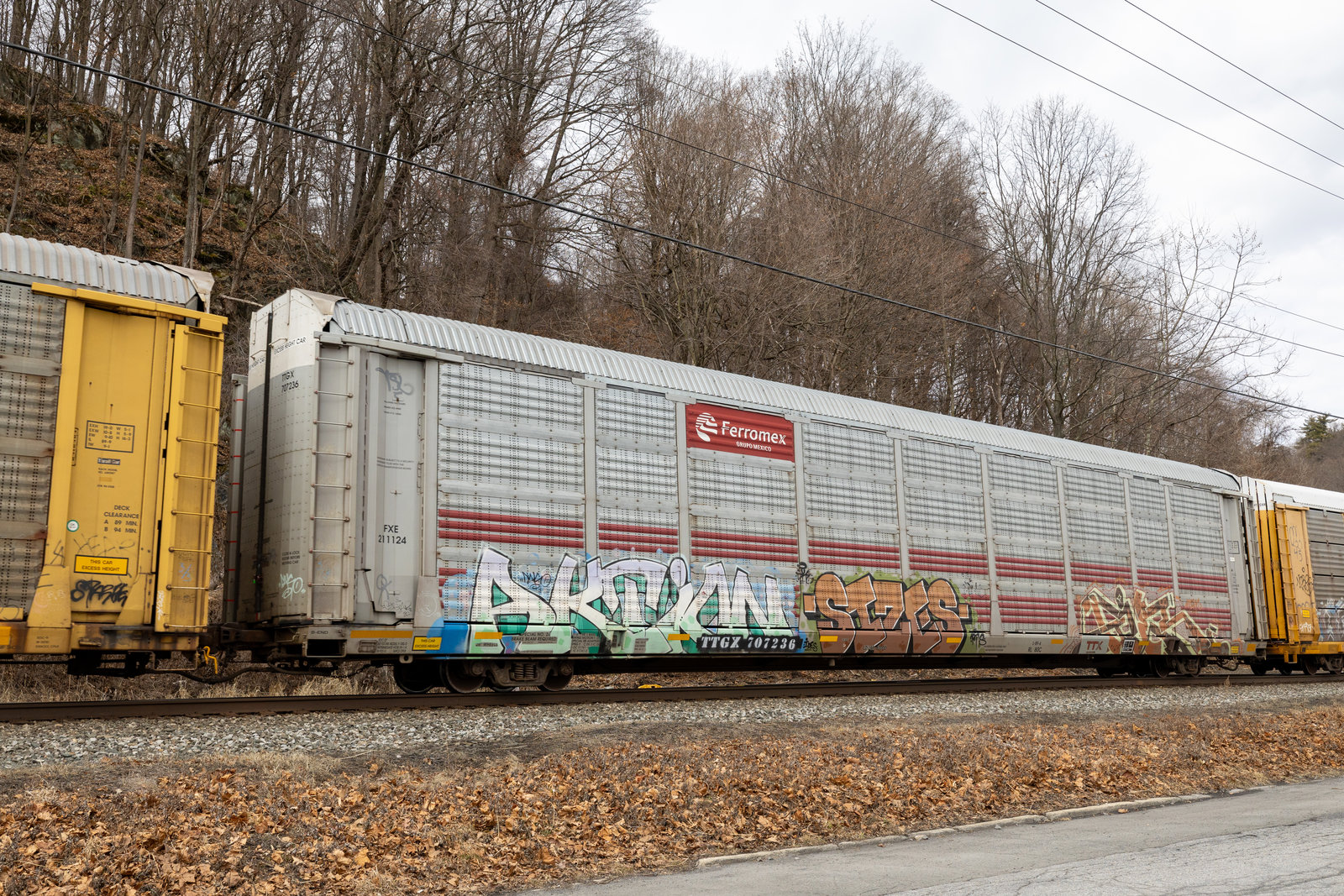 TTGX 707236