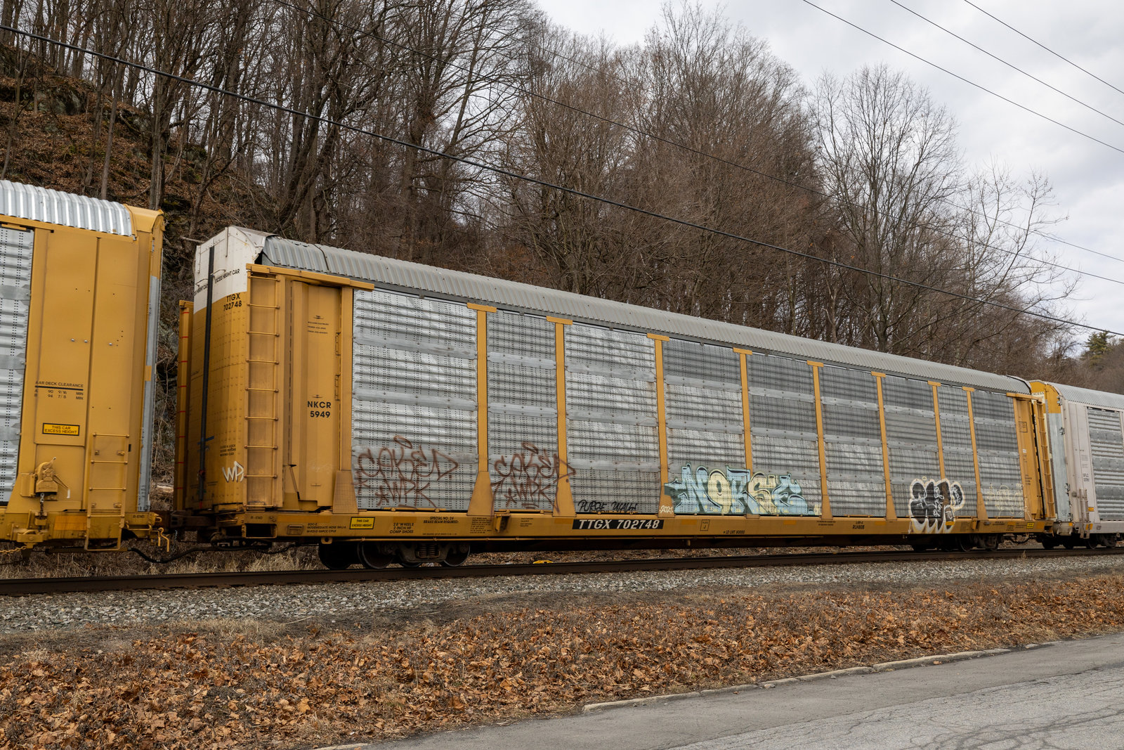 TTGX 702748