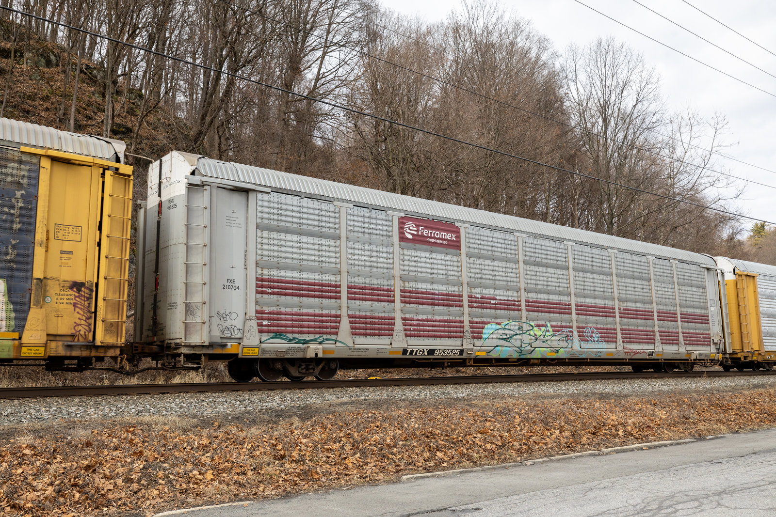 TTGX 953525