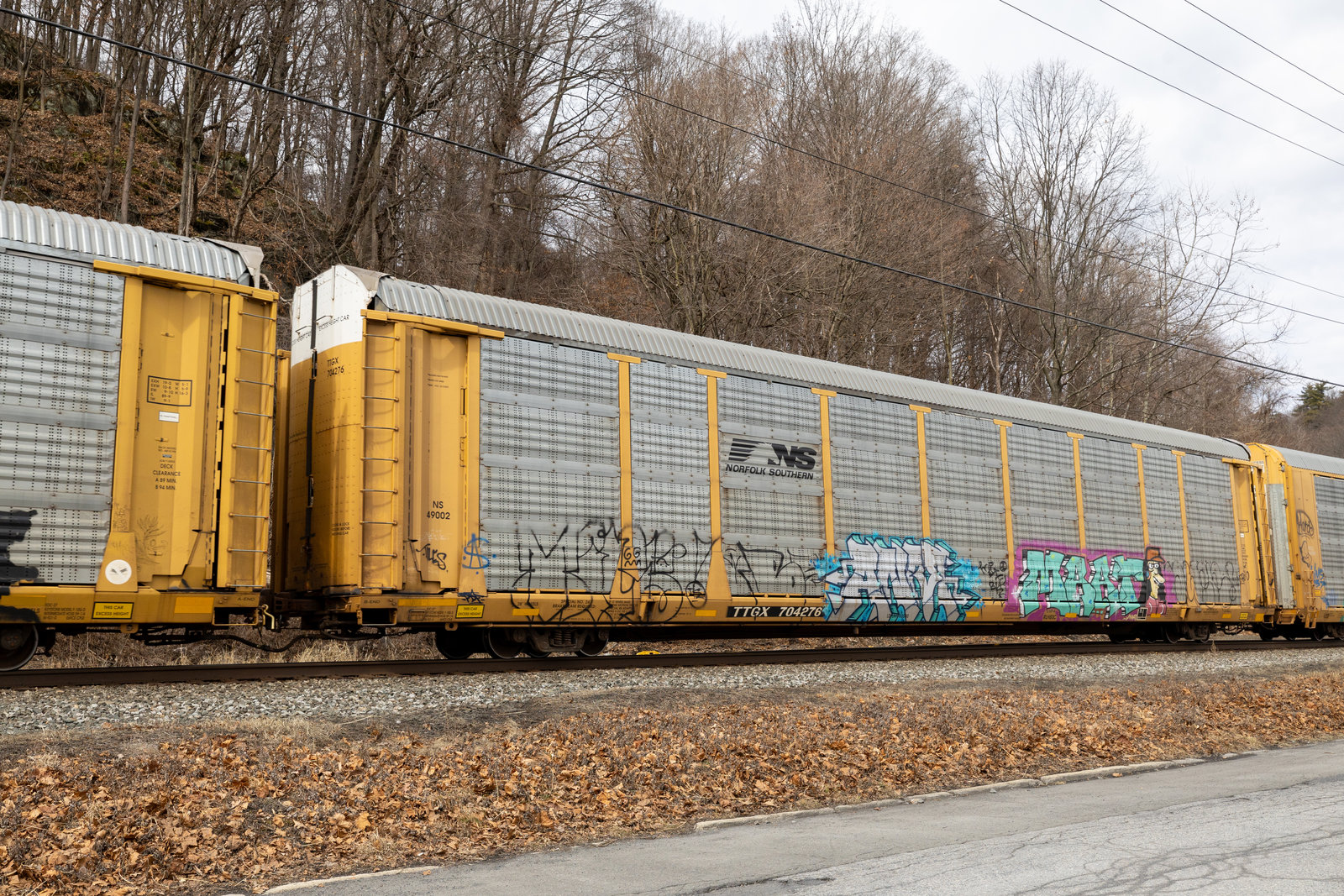 TTGX 704276