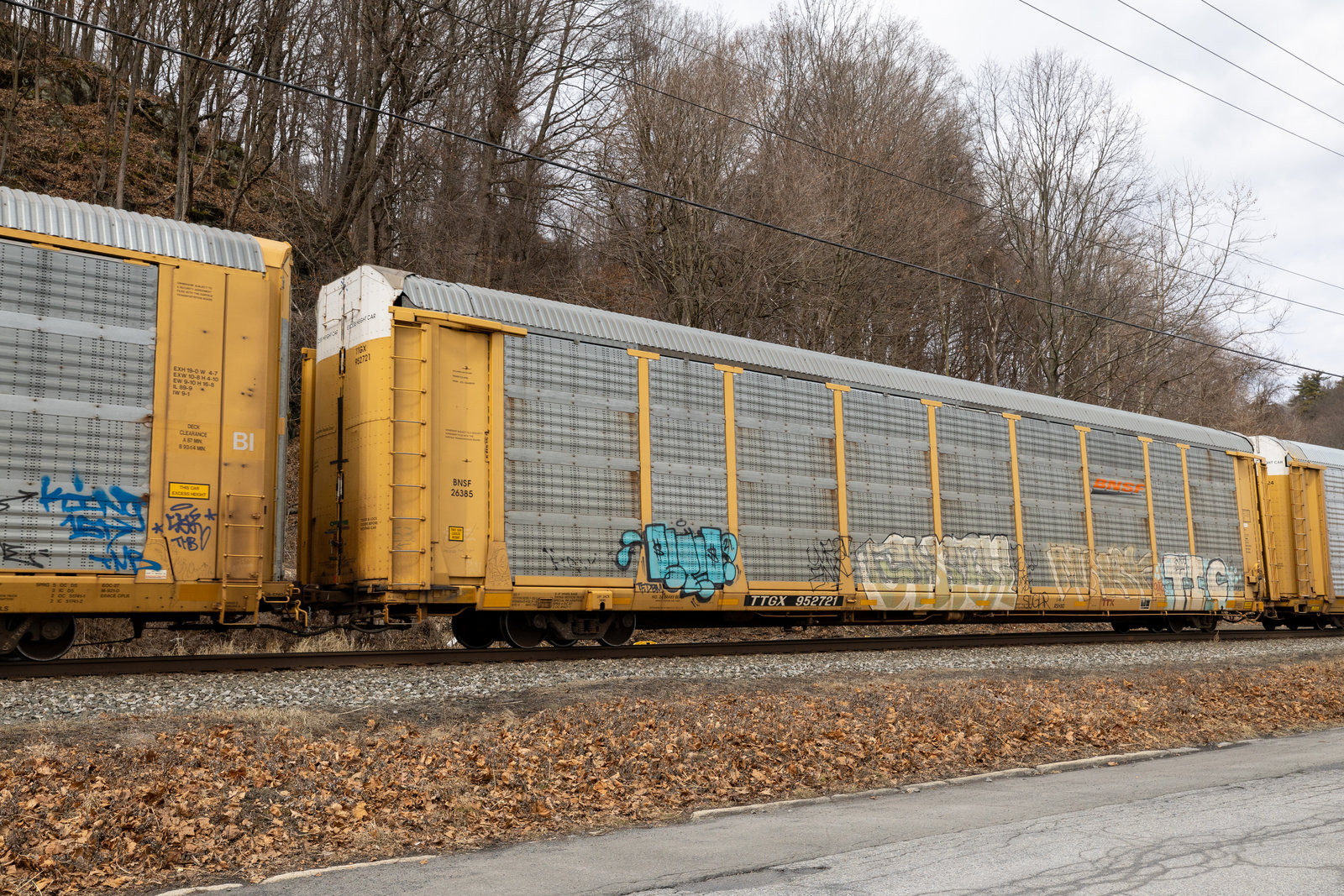 TTGX 952721