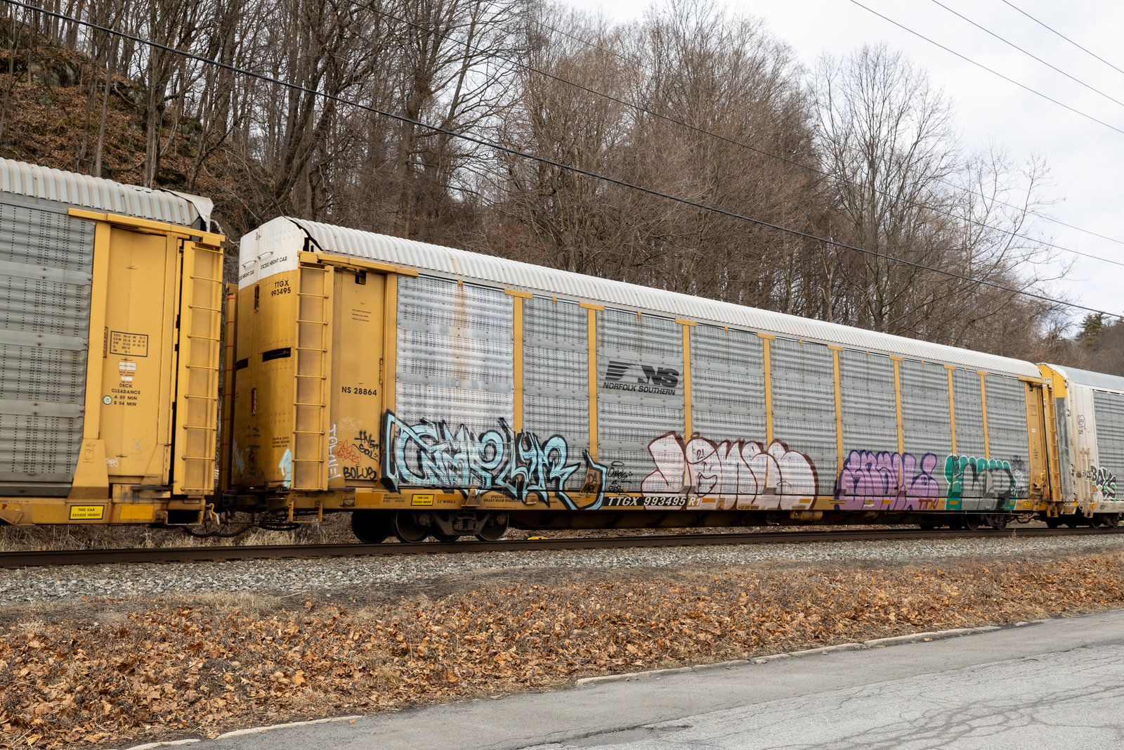 TTGX 993495