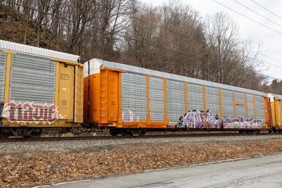 TTGX 952990