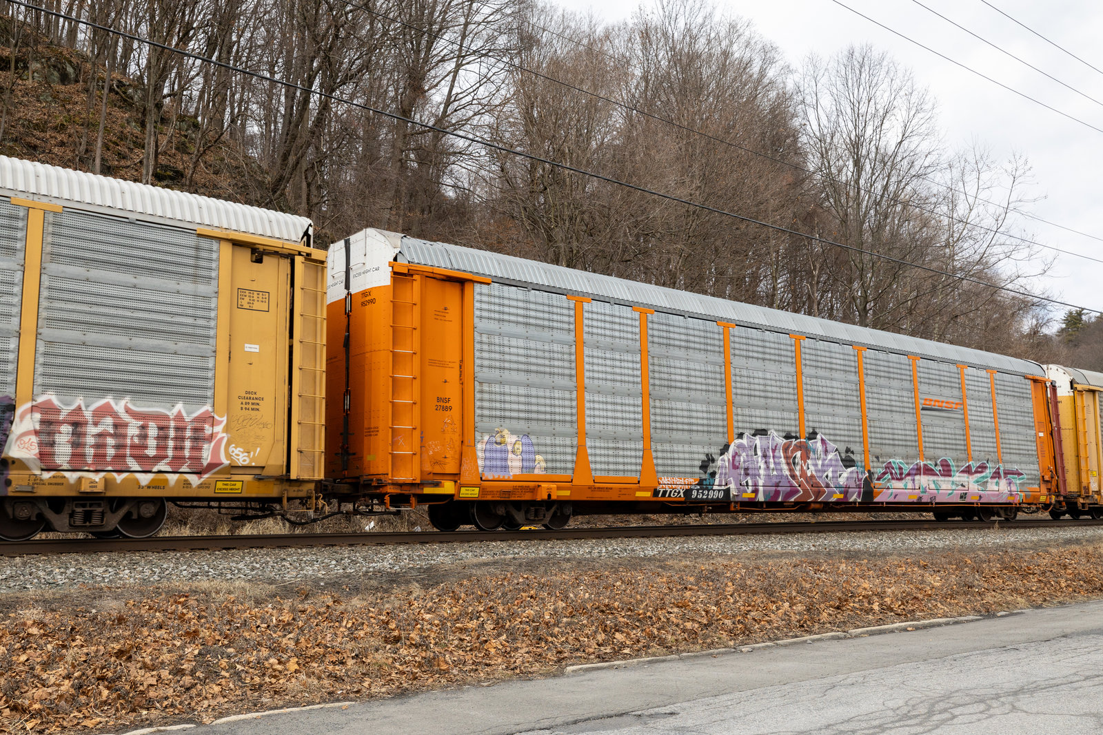 TTGX 952990