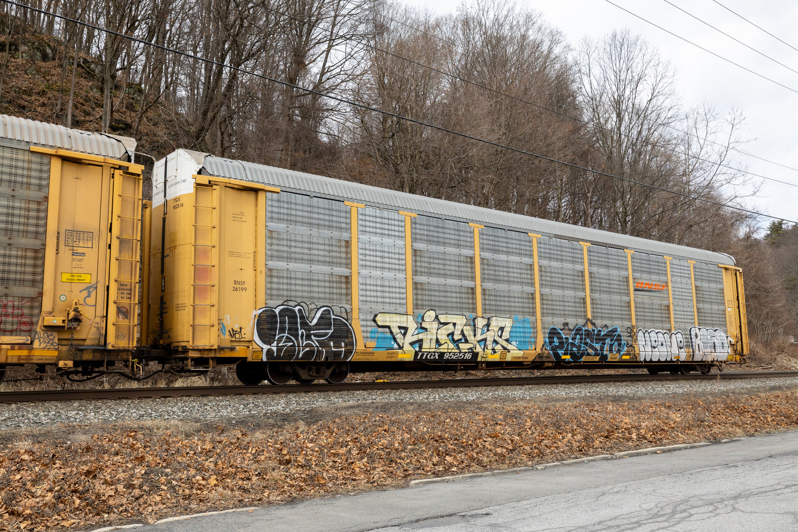 TTGX 952516