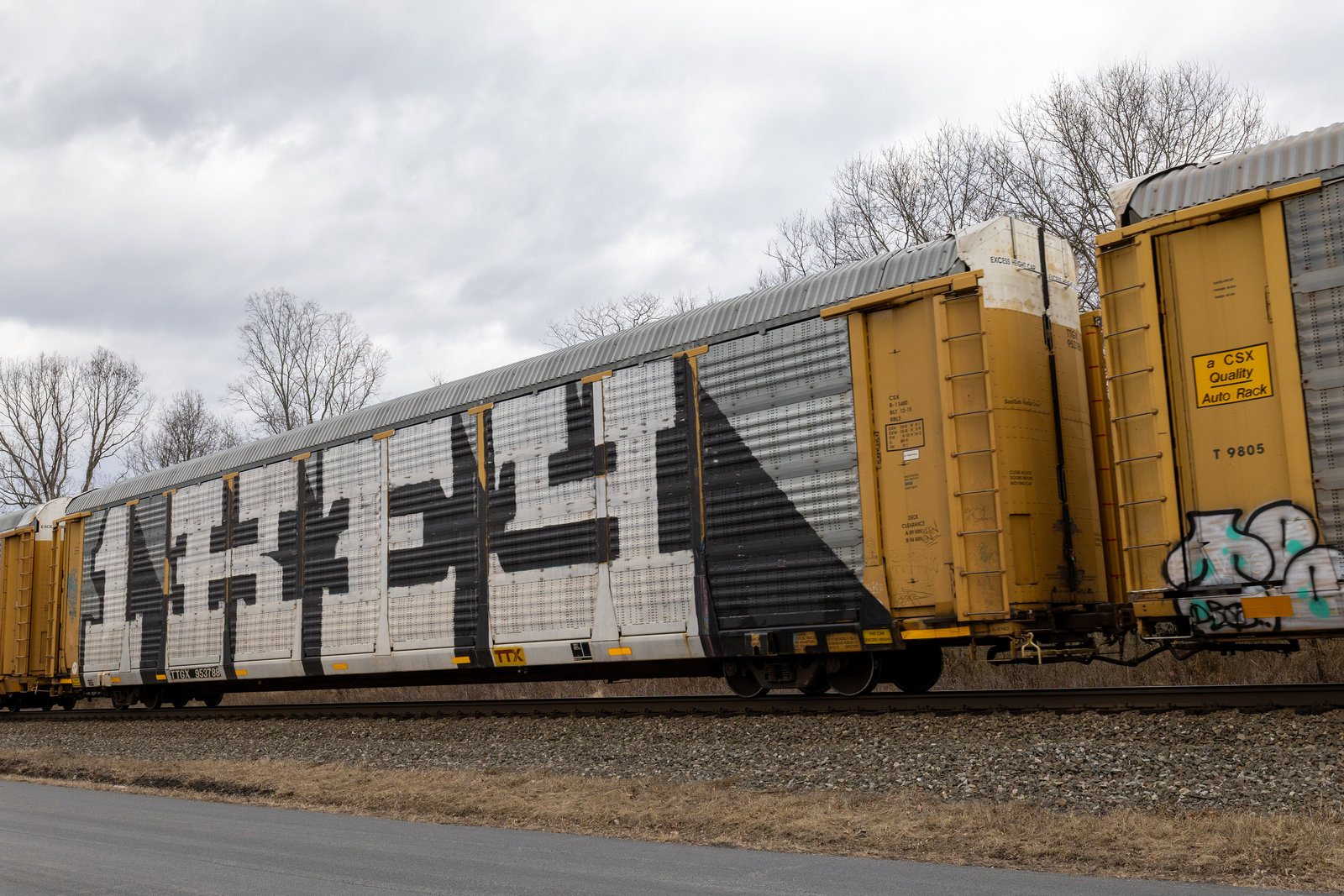 TTGX 953788