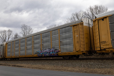TTGX 702807