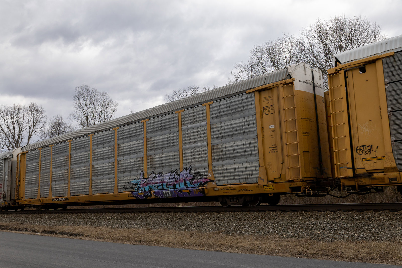 TTGX 702807