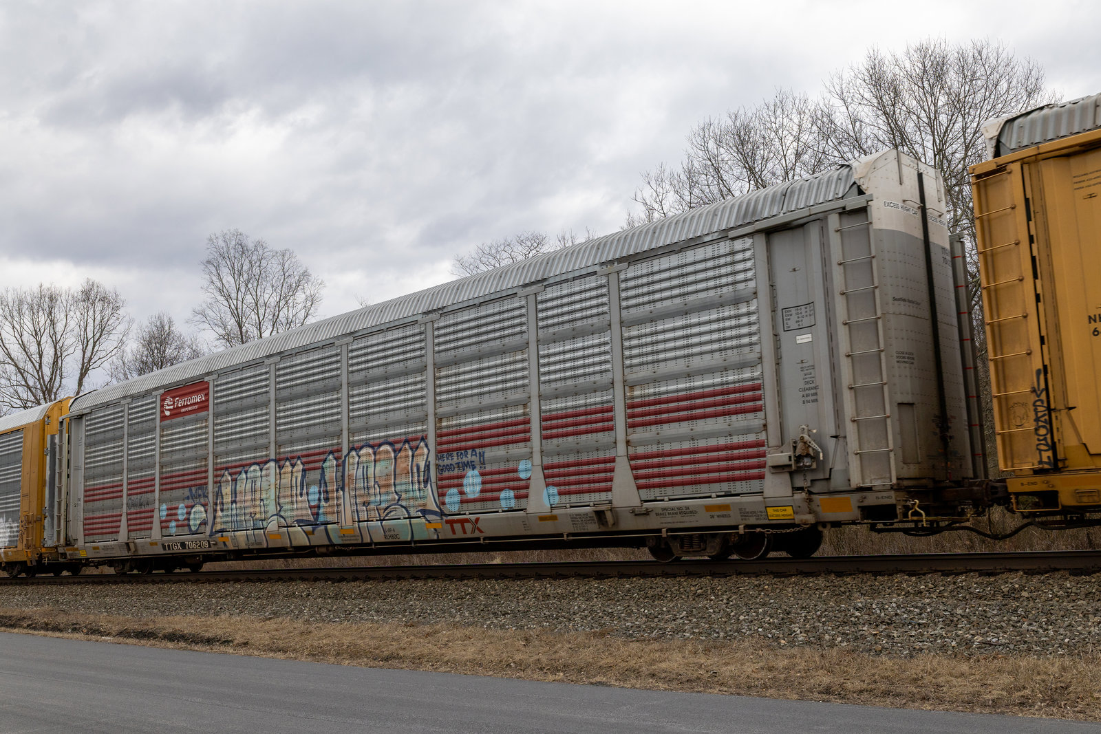 TTGX 706209