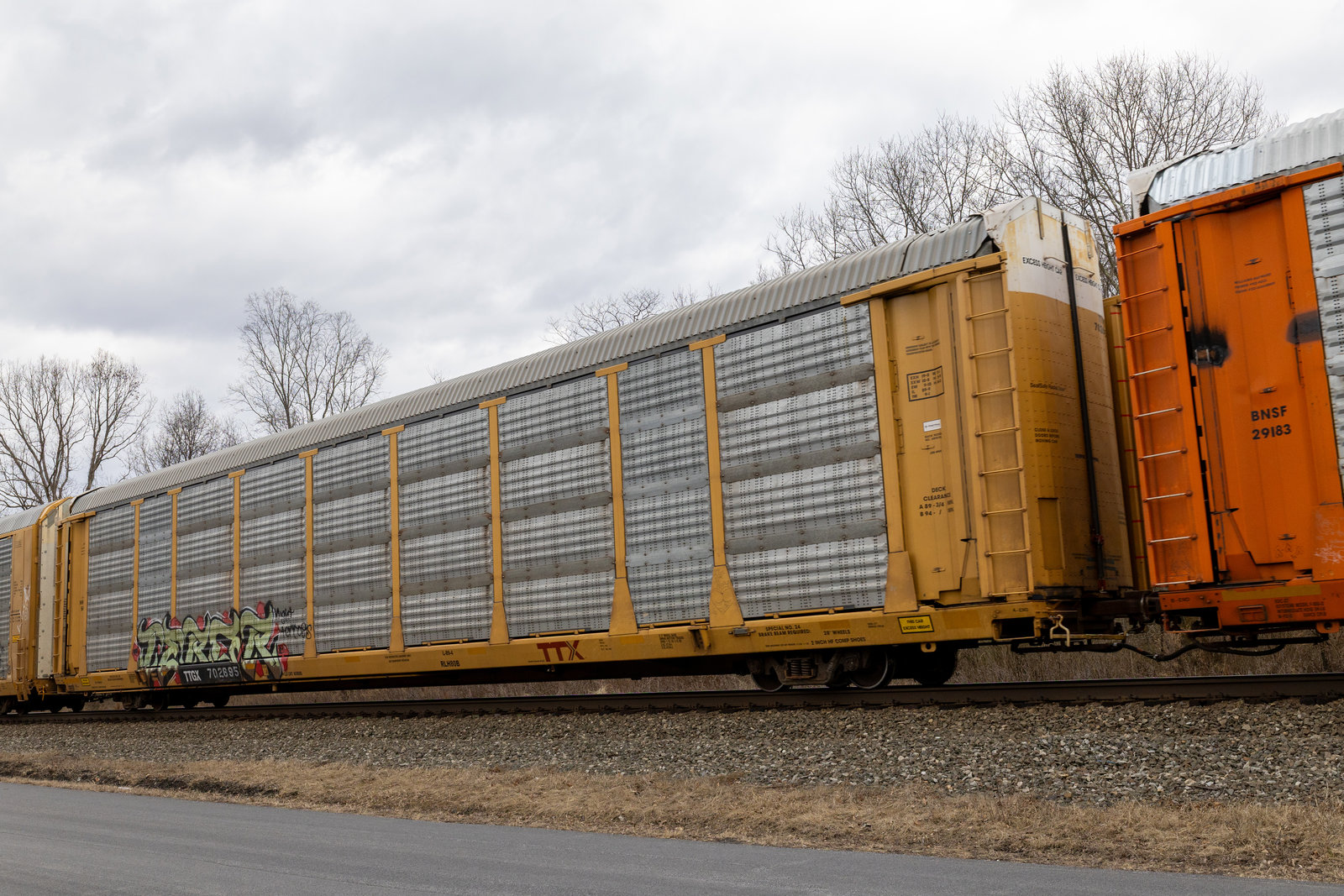 TTGX 702695