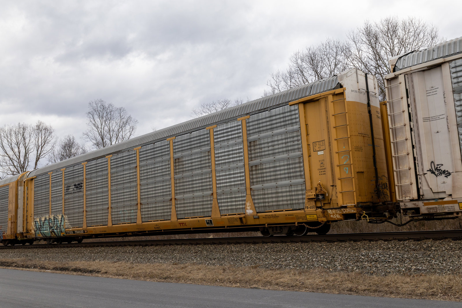 TTGX 704432