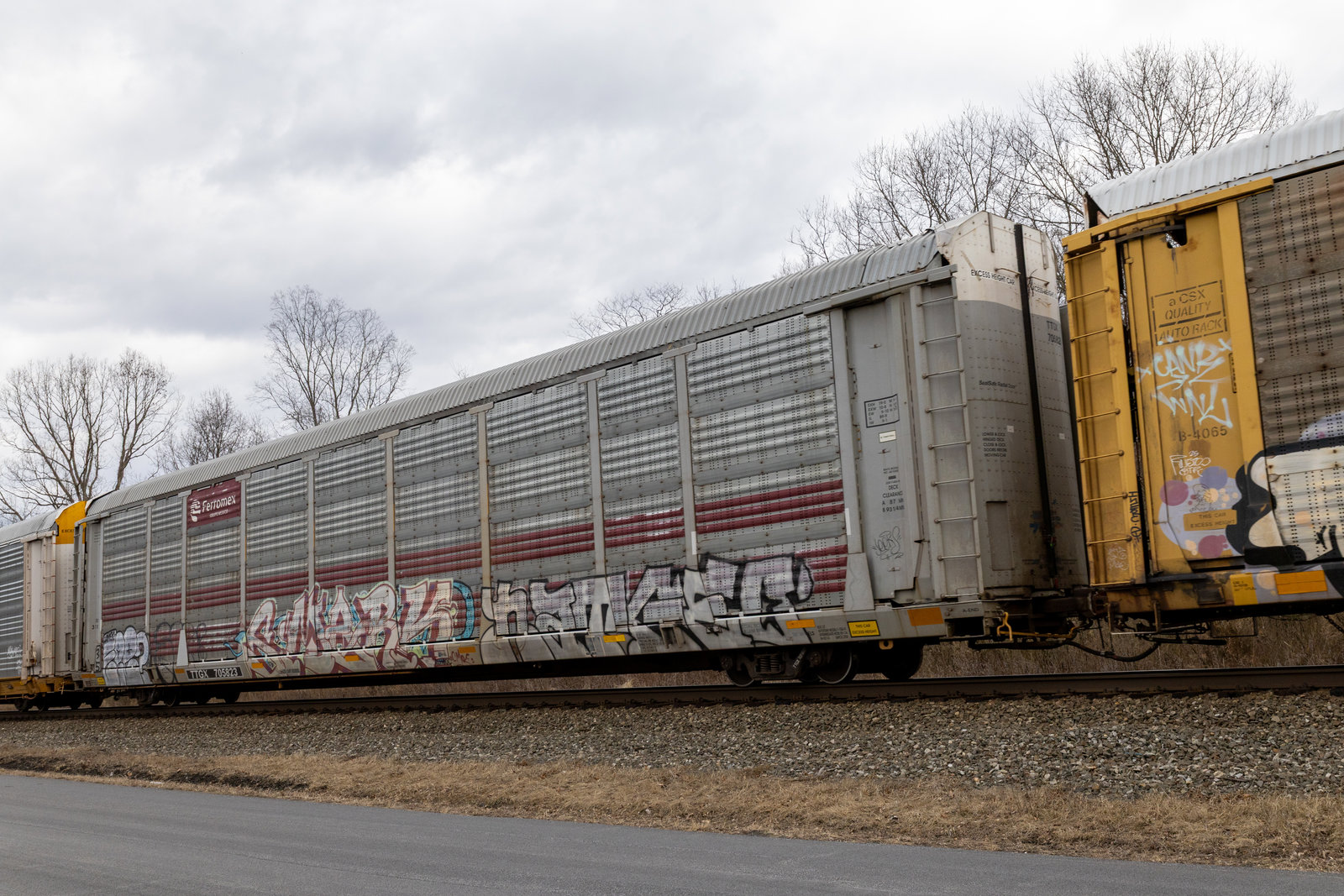 TTGX 705823