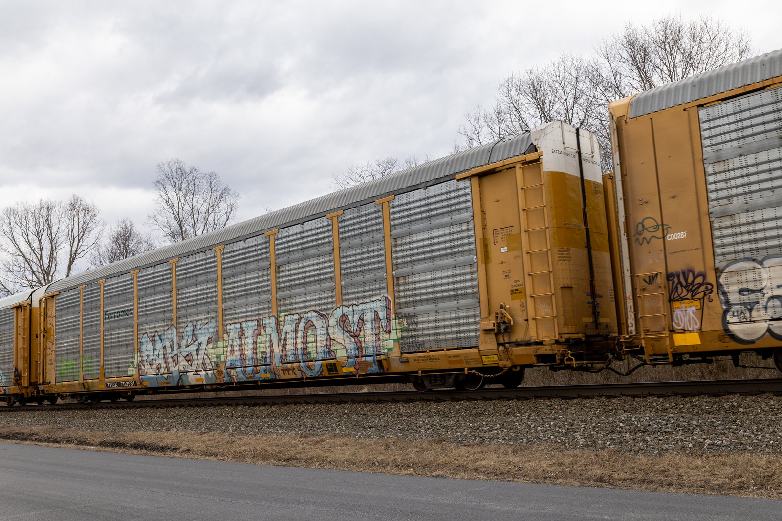 TTGX 703981