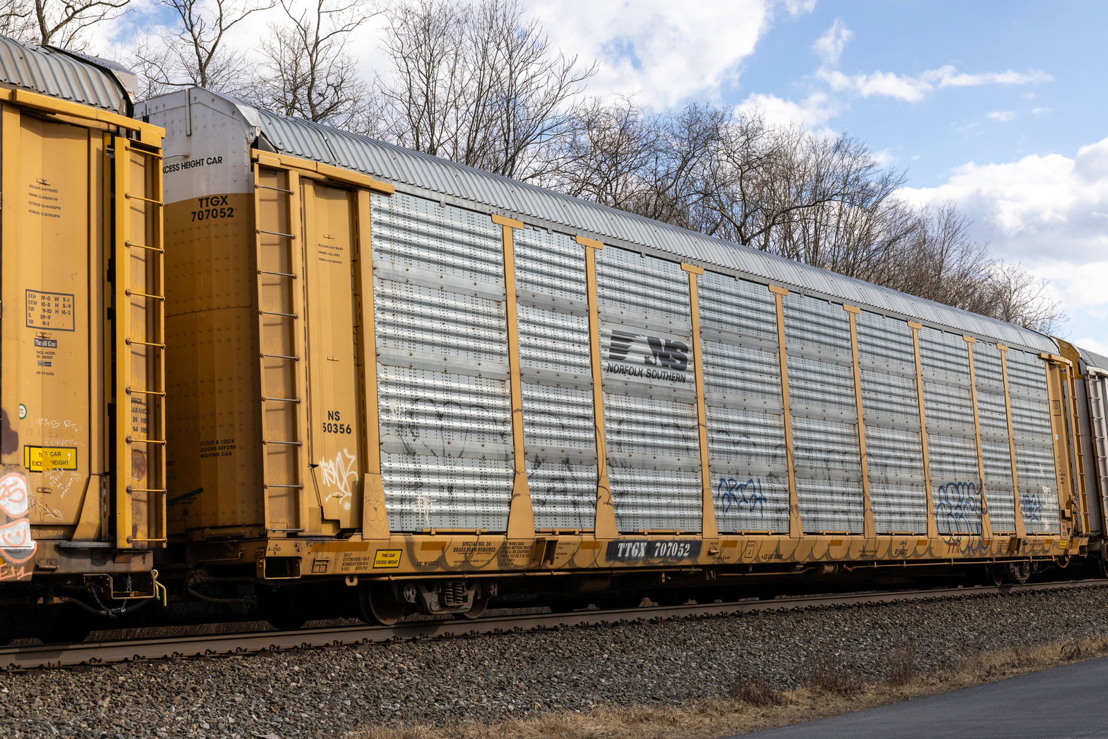 TTGX 707052