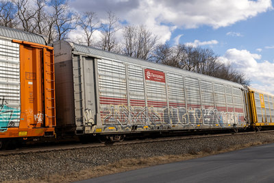 TTGX 707276