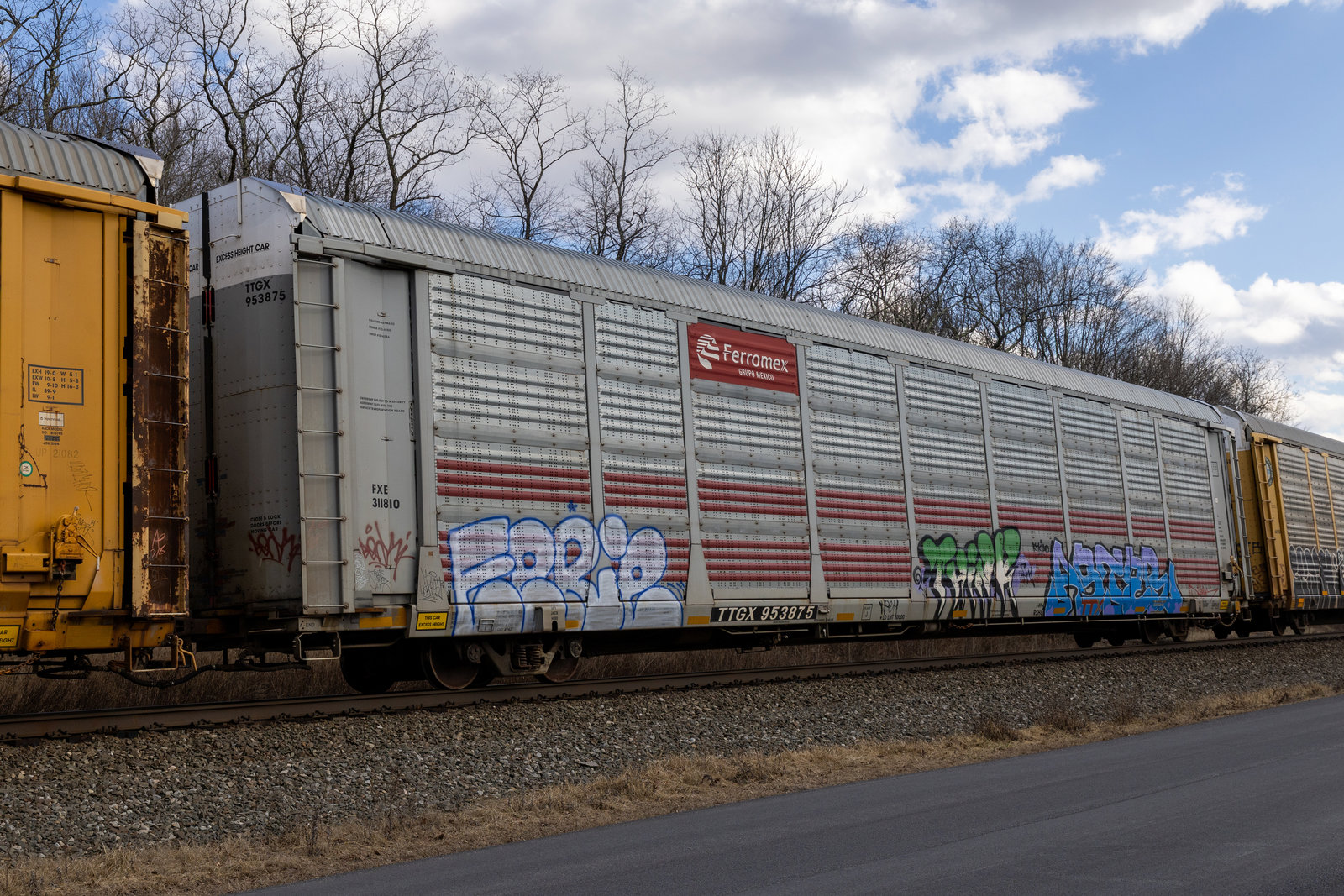 TTGX 953875