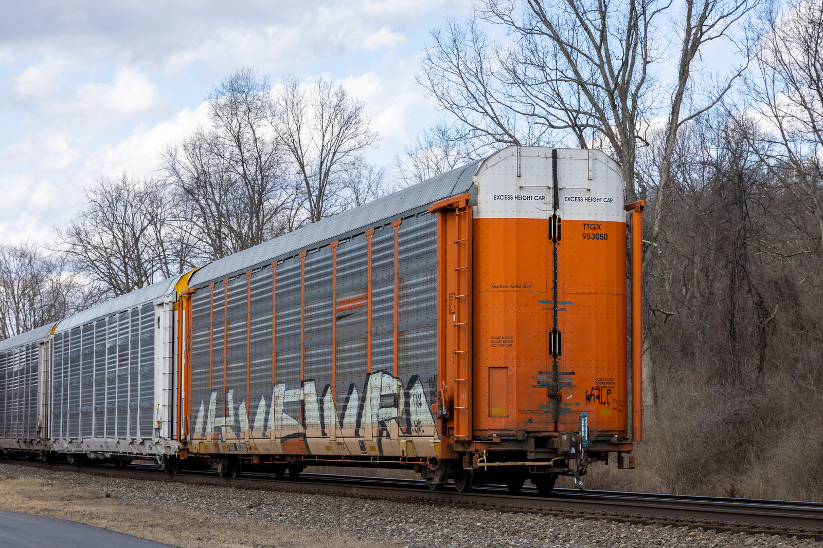 TTGX 953050