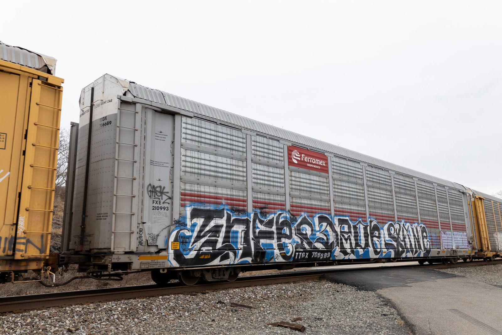 TTGX 706689