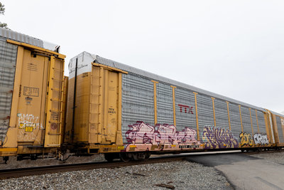 TTGX 710879