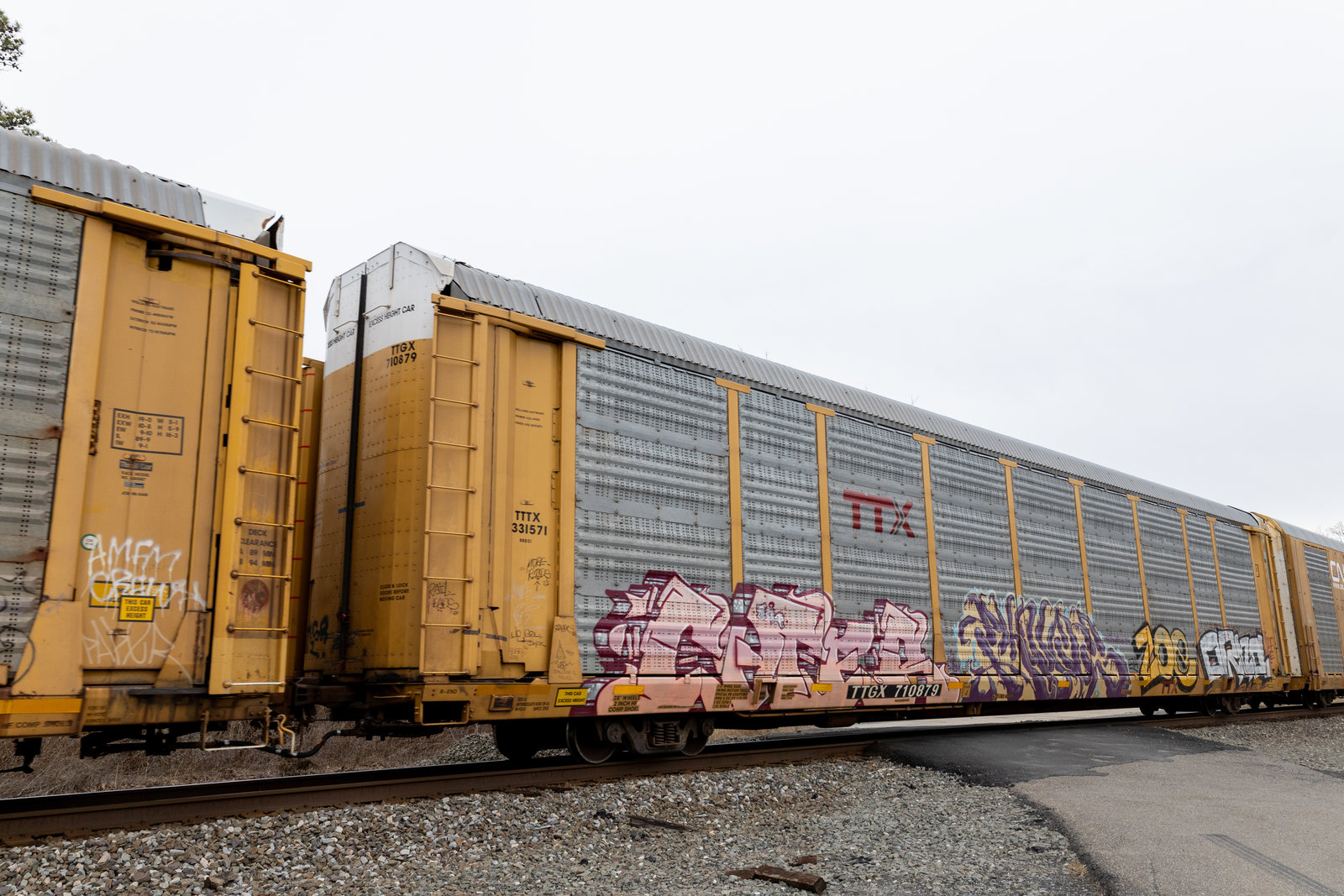 TTGX 710879