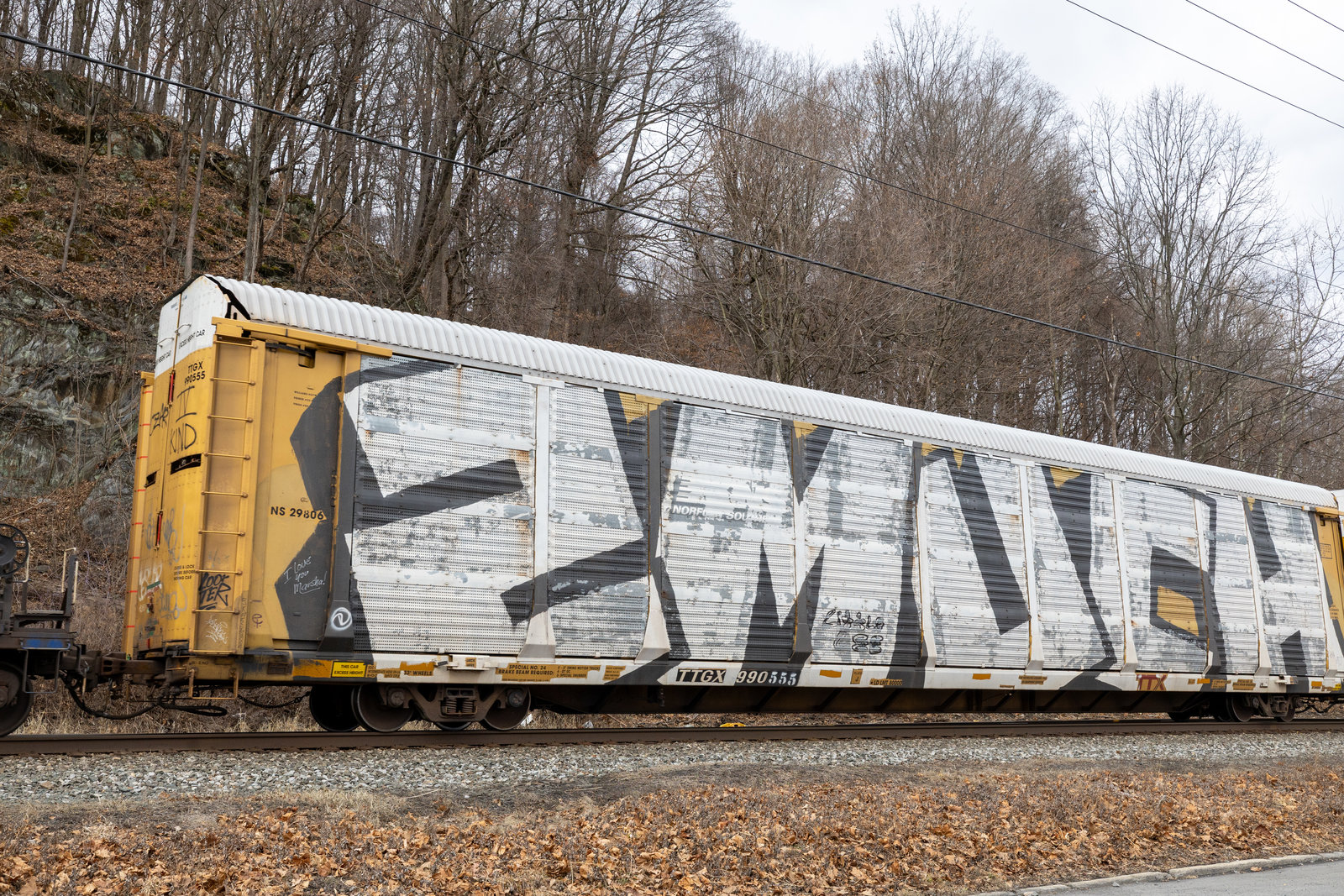 TTGX 990555
