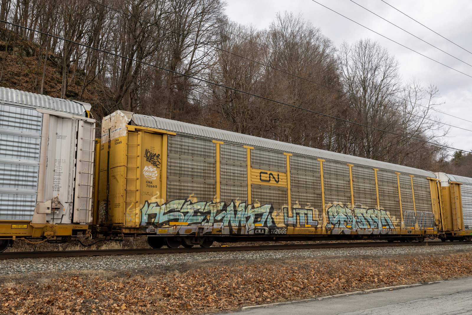CNA 712665