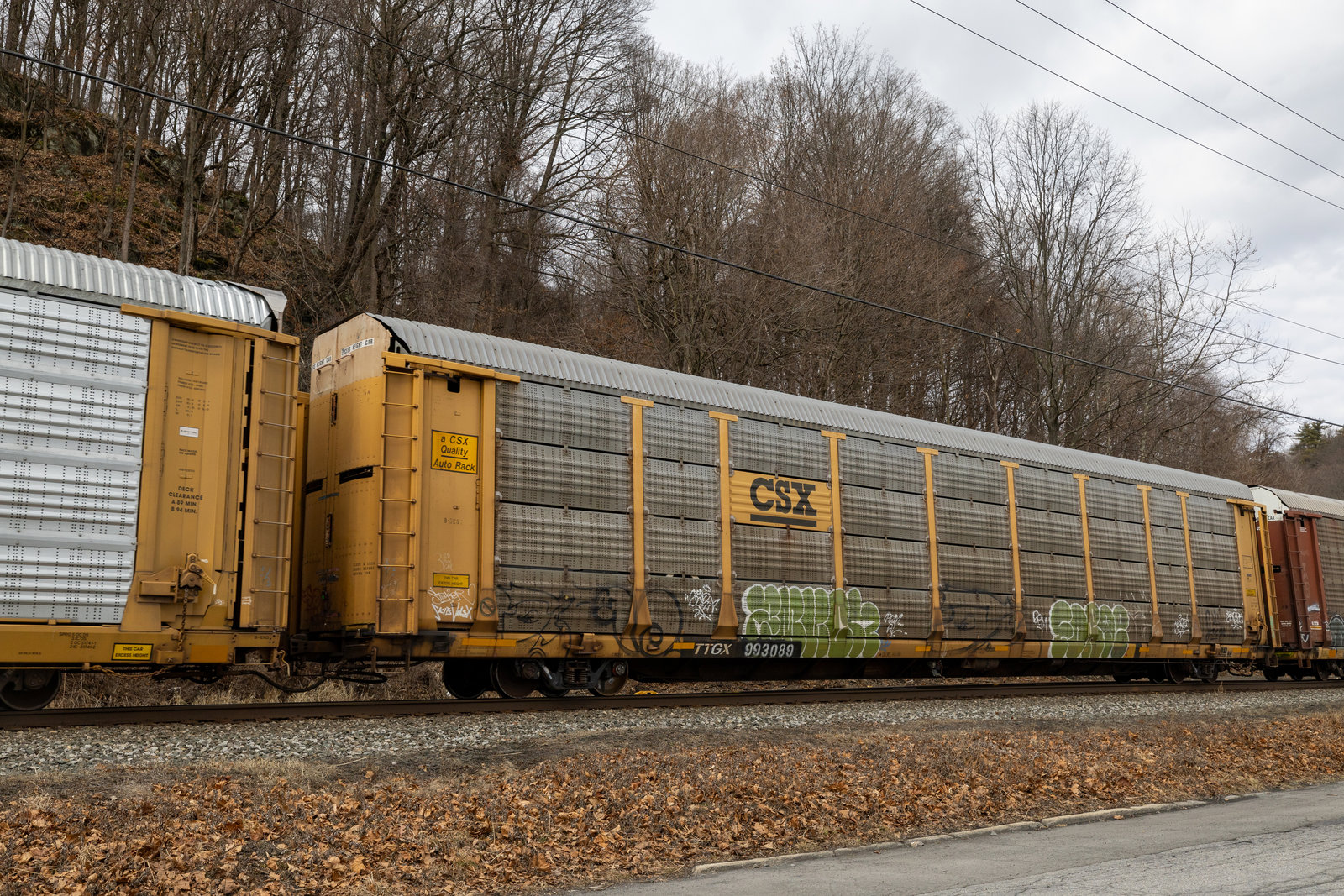 TTGX 993089