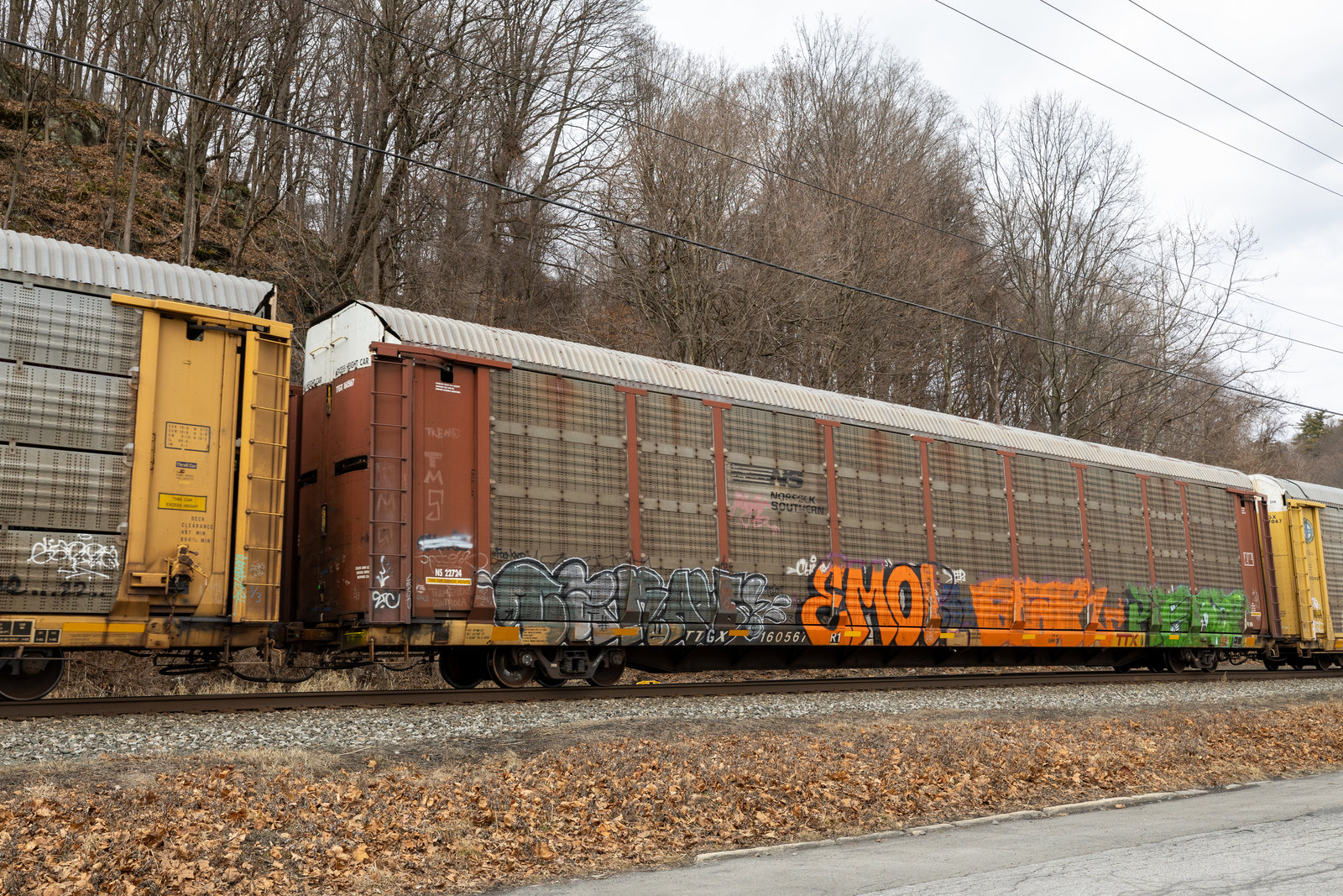 TTGX 160567
